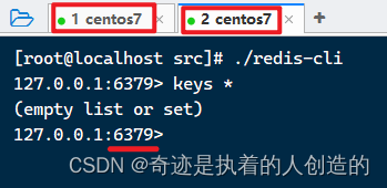 Redis-01-基础-redis简介安装、数据类型、常用命令、使用Spring Data Redis封装好的命令方法操作redis_Redis_09