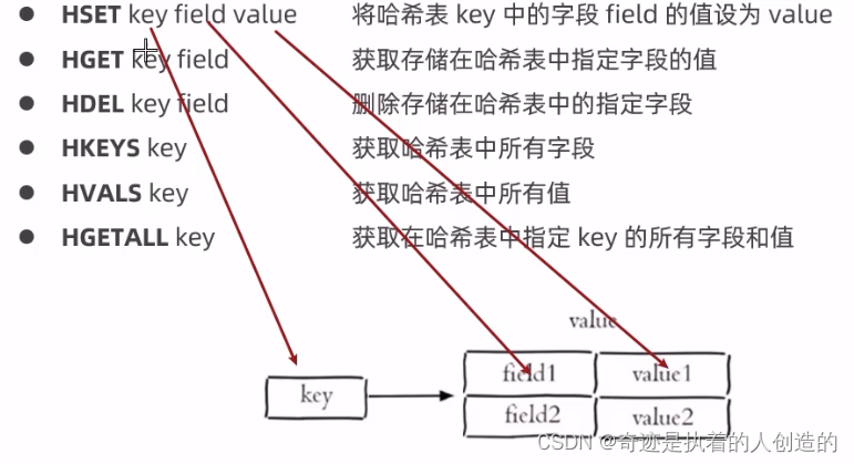 Redis-01-基础-redis简介安装、数据类型、常用命令、使用Spring Data Redis封装好的命令方法操作redis_redis_19