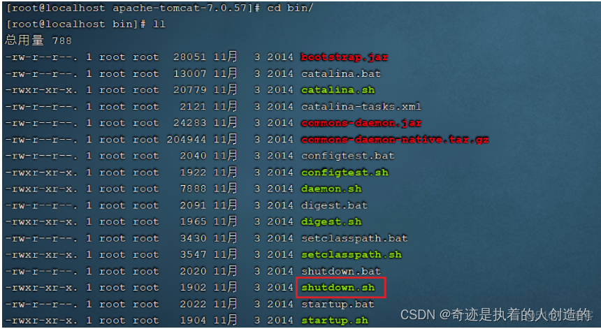 linux-02-软件安装-centos7配置jdk、tomcat、mysql、lrzsz、项目部署（Git、Maven）、shell脚本自动从git仓库获取项目更新★_tomcat_20