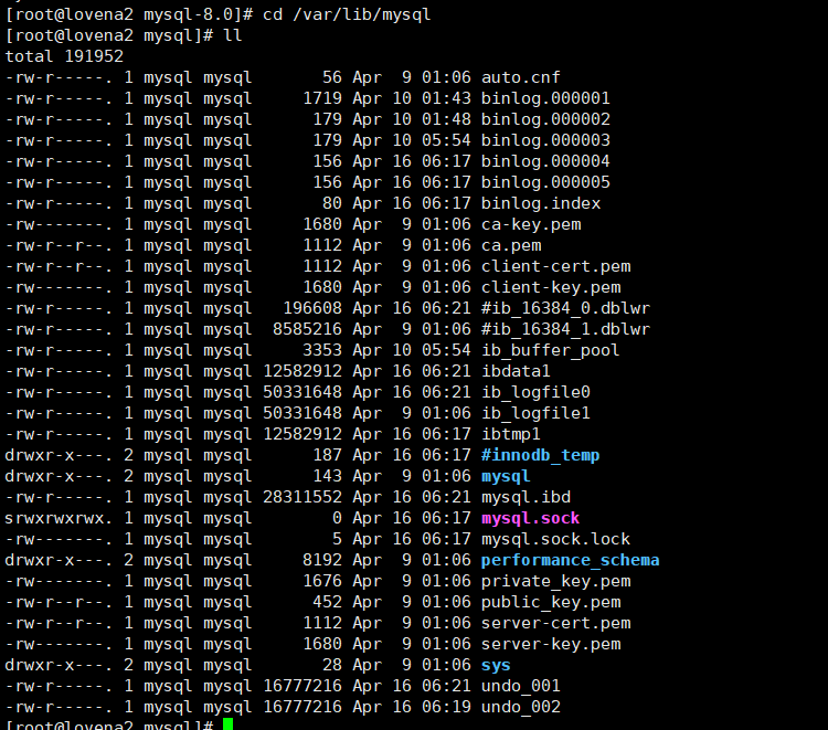 mysql目录cmake命令行 mysql文件目录_mysql_06