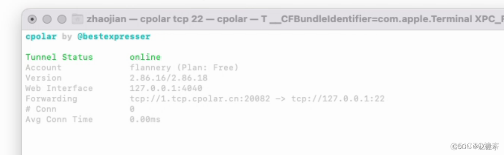 cpolar内网映射 远程ssh内网mac电脑_ssh_04
