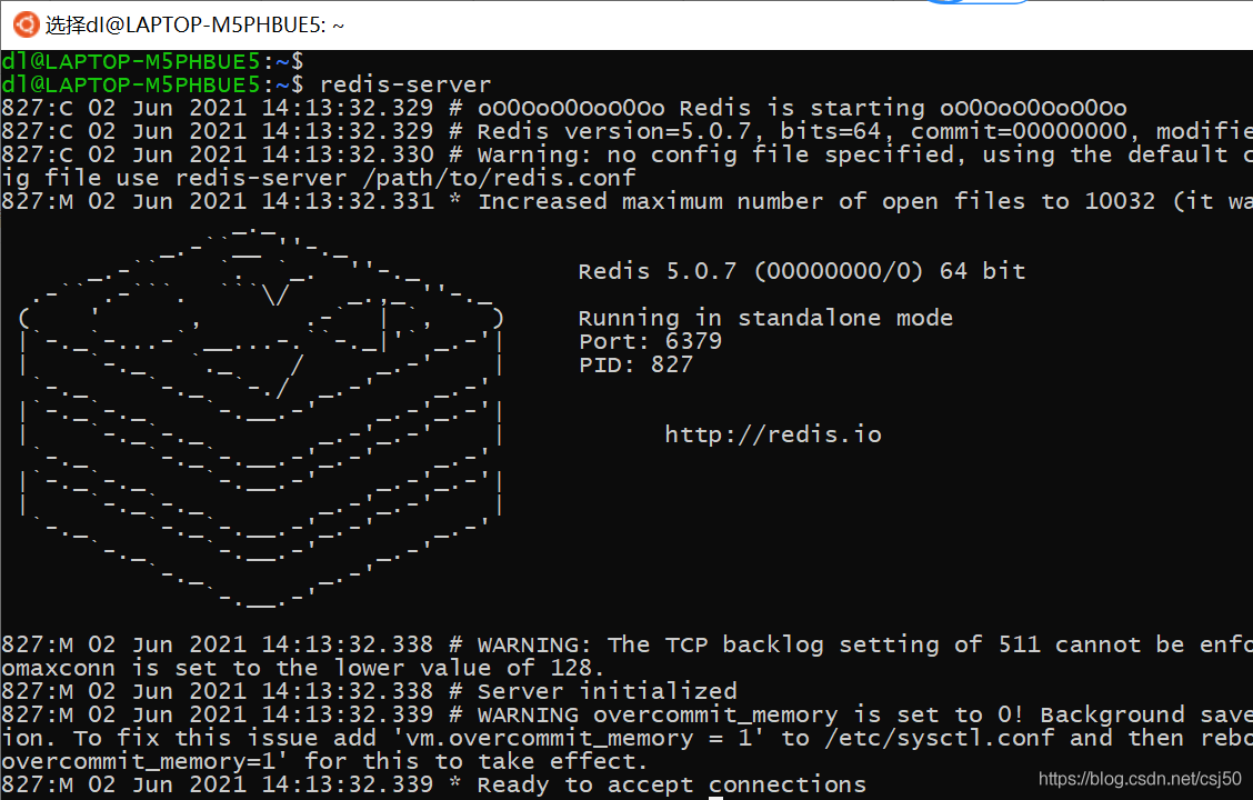 redis windows服务后台启动 win redis 启动_ubuntu_04