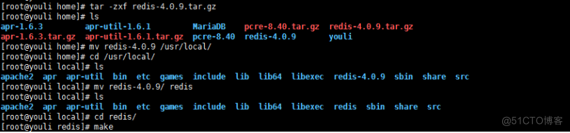 redis 安装和部署 redis安装过程_Redis_03