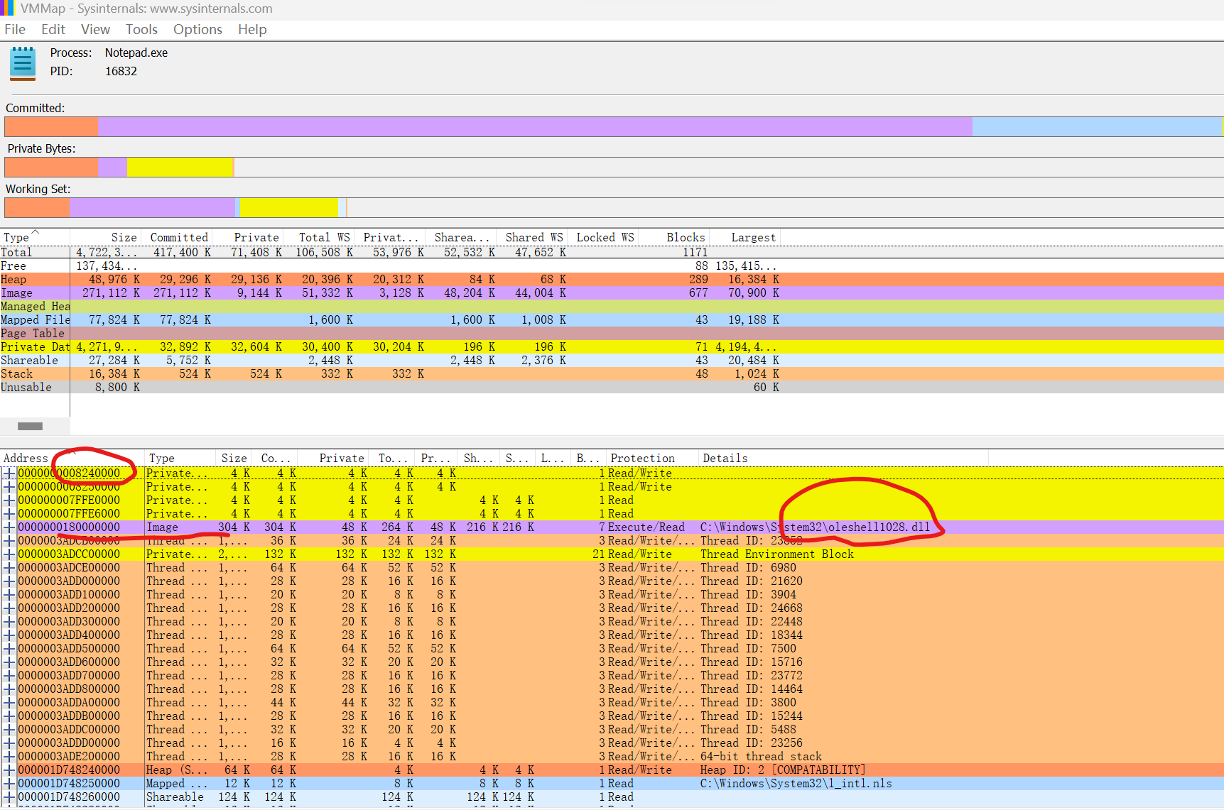 vmmap查看进程虚拟内存和x64dbg是一样的_volatility_03