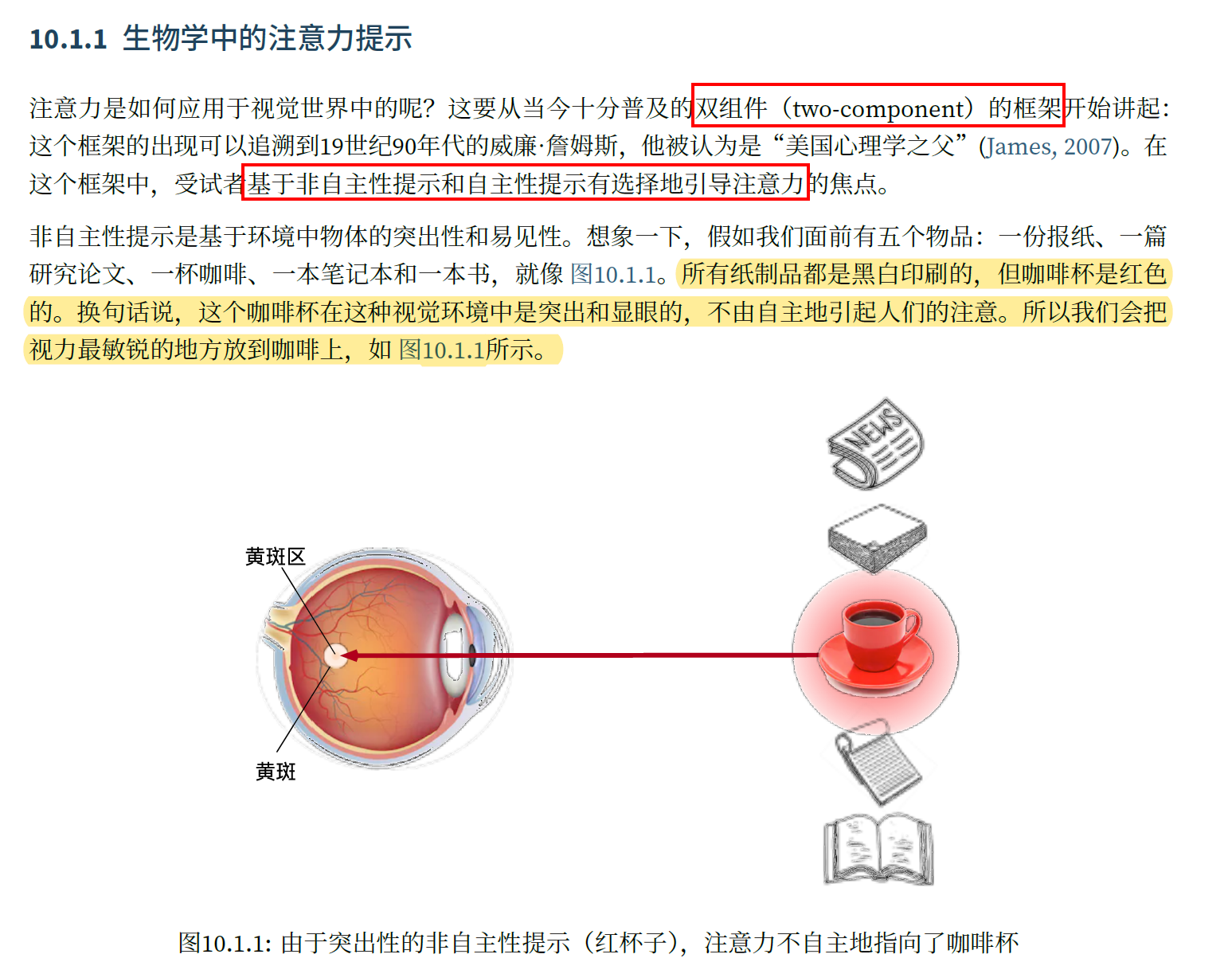 注意力机制和Transformer原理，其他文章看不懂就看这个吧，根据《python深度学习》 和 《动手学深度学习》两本书总结而成_二元语法