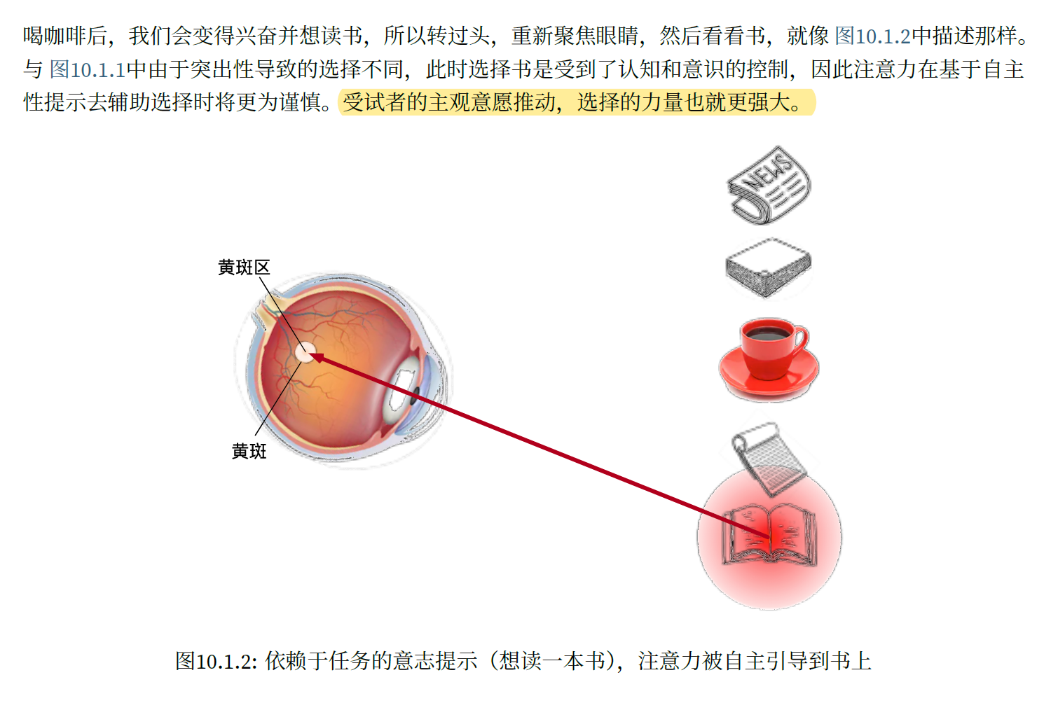 注意力机制和Transformer原理，其他文章看不懂就看这个吧，根据《python深度学习》 和 《动手学深度学习》两本书总结而成_深度学习_02