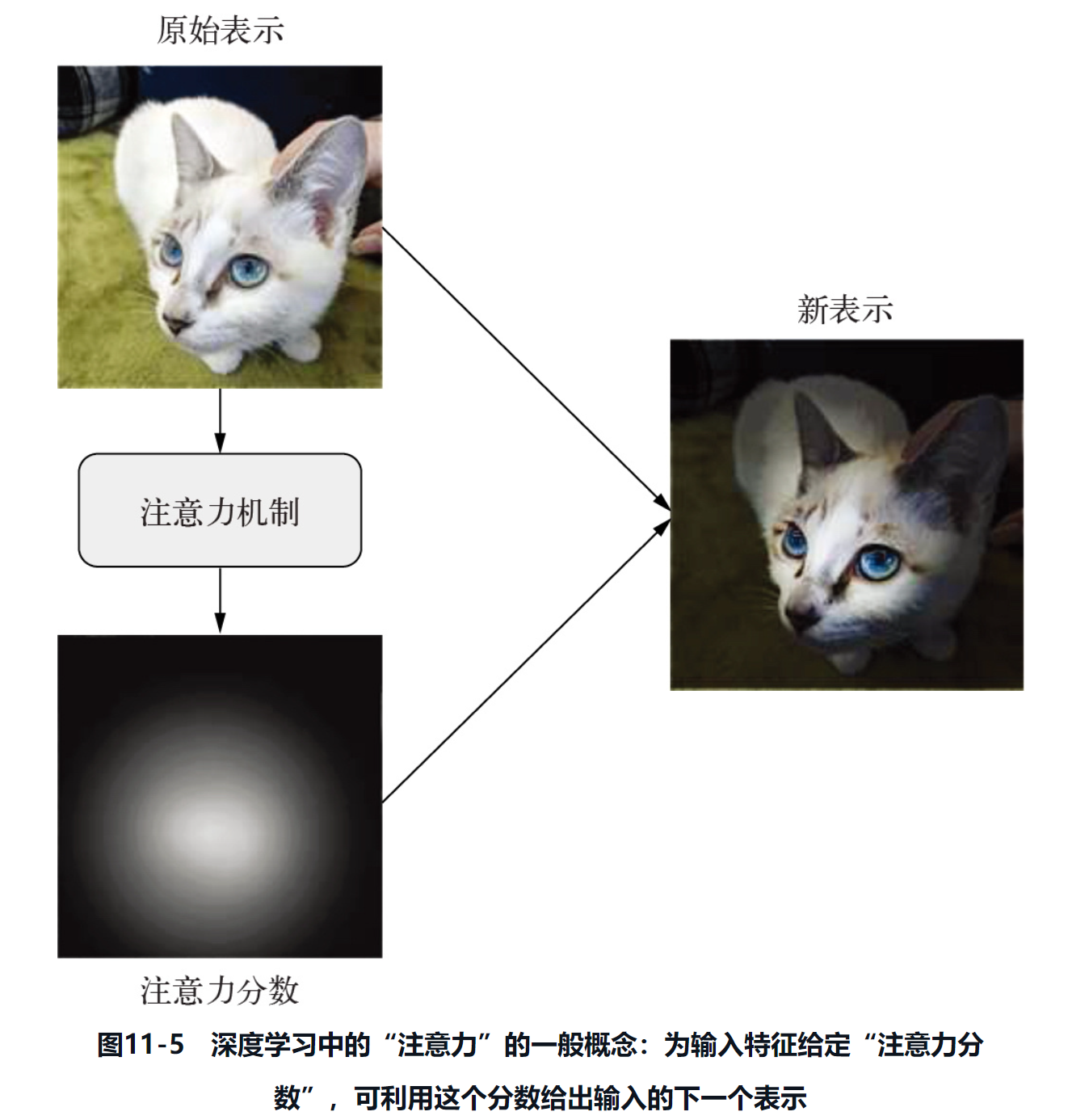 注意力机制和Transformer原理，其他文章看不懂就看这个吧，根据《python深度学习》 和 《动手学深度学习》两本书总结而成_二元语法_03