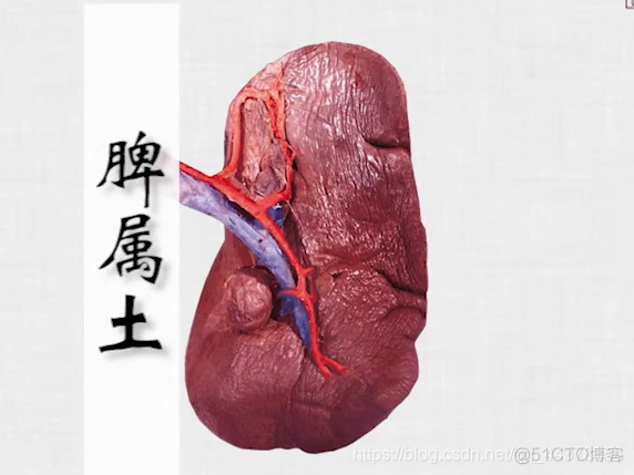 程序员养生之道_背景颜色_10