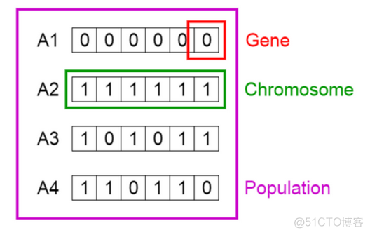 基于遗传算法（GA）的R特征选择_解决方案_02