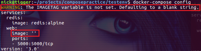 Docker Compose 引用环境变量_redis_05