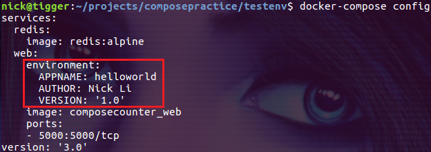 Docker Compose 引用环境变量_环境变量_09