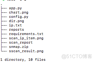 使用python-nmap 搭建基本端口扫描器_python_03