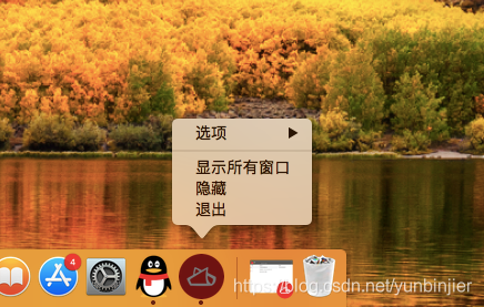 ios 卸载app方法 卸载苹果软件怎么卸载_应用程序_04