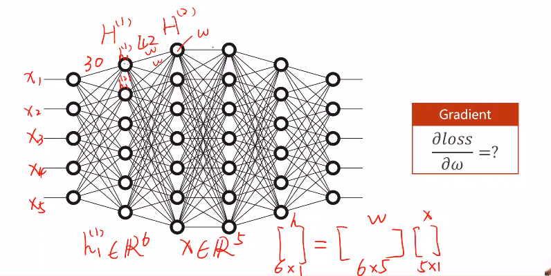 pytorch 前向传播函数 pytorch重写反向传播_神经网络_02