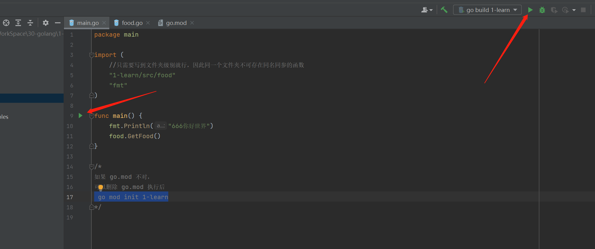 idea 启动go语言项目 idea创建go项目_重启_10