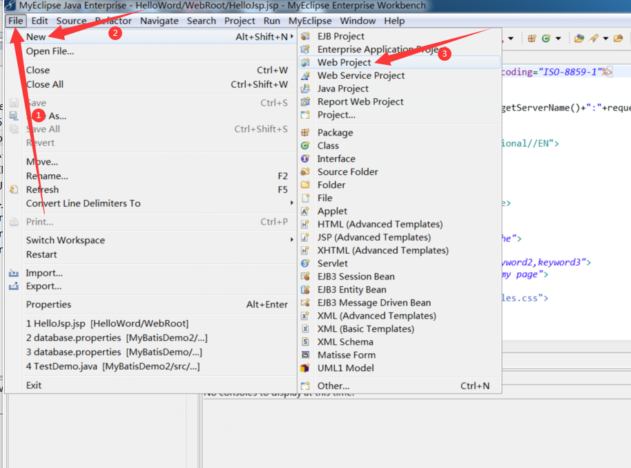 纯Java开发网页界面代码 java如何开发网页_tomcat