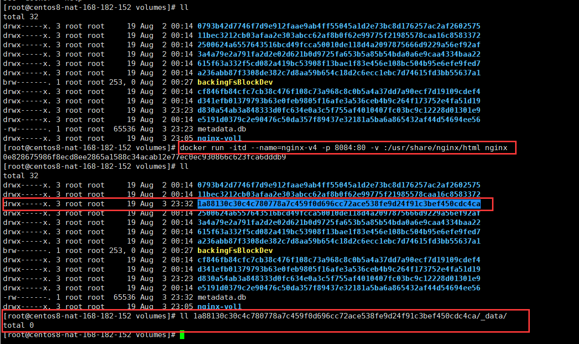 docker volume 权限 volumes docker_nginx_10