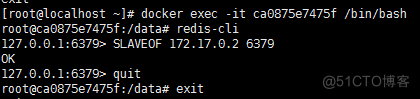 docker运行redis指定redis config docker redis 配置_docker_07