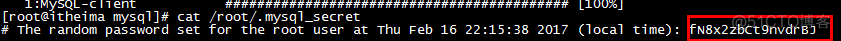 mysql临时密码查看 mysql临时密码登不上_客户端_03