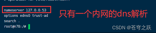 Ubuntu22配置dns解析_运维_02