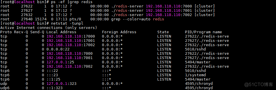 搭建 Redis 集群 redis5.0集群搭建_网络