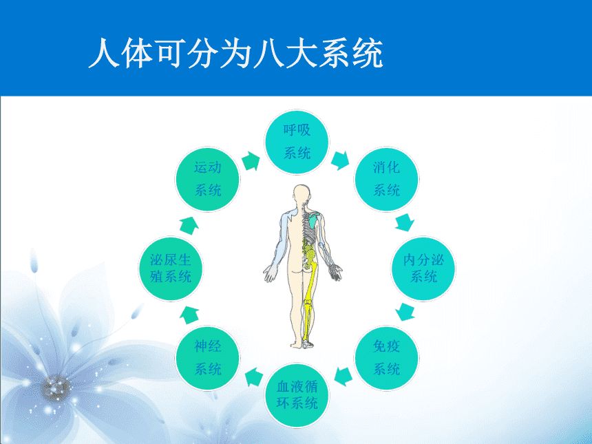 结构设计和架构设计区别 架构设计和系统设计_软件工程师_03