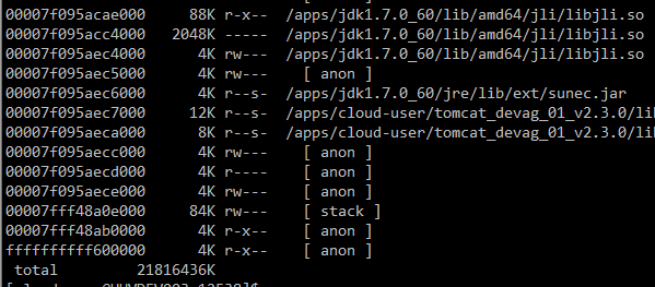 linux java 查看内存 linux查看java程序内存_进程内存_02