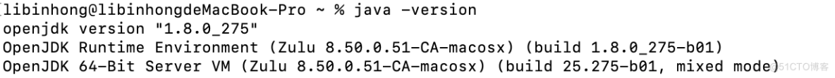 苹果电脑安装java后找不到 macbookm1安装jdk为啥找不到_macbook_05