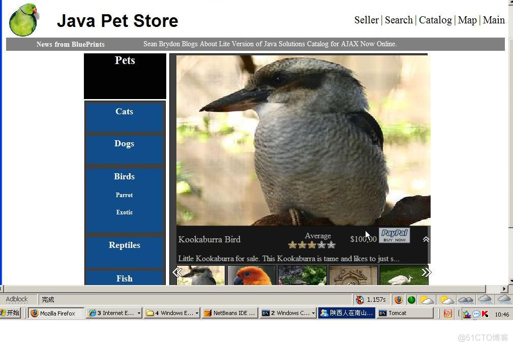 Java Pet Store 2.0体验_Java_02