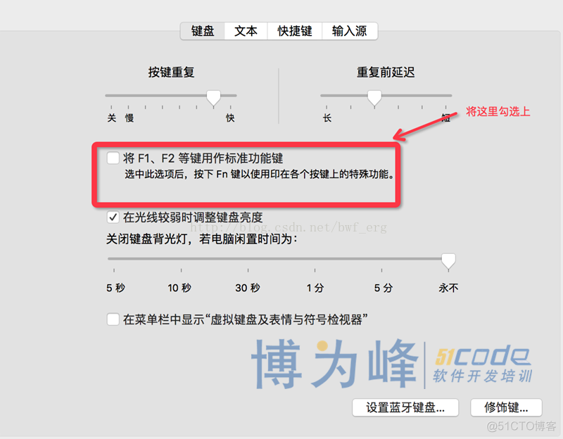 javascript苹果电脑 苹果电脑启用javascript_F1_03