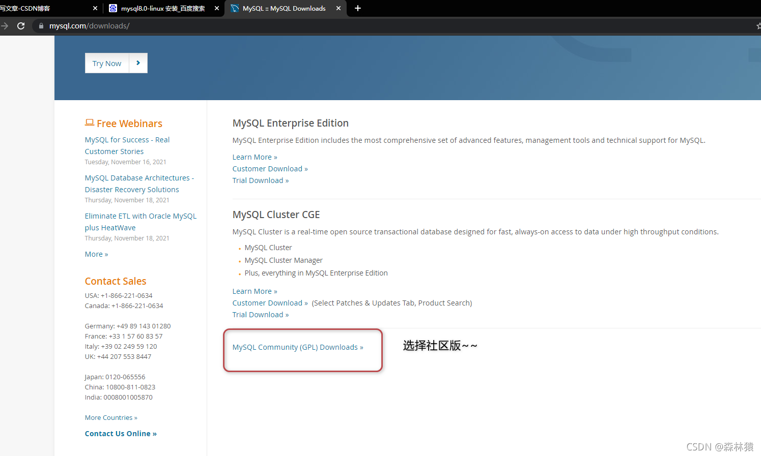 mysql8 my.cnf password配置详解 mysql8.0 my.cnf_数据库