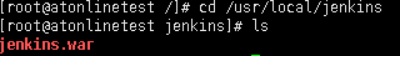 Jenkins_linux_02