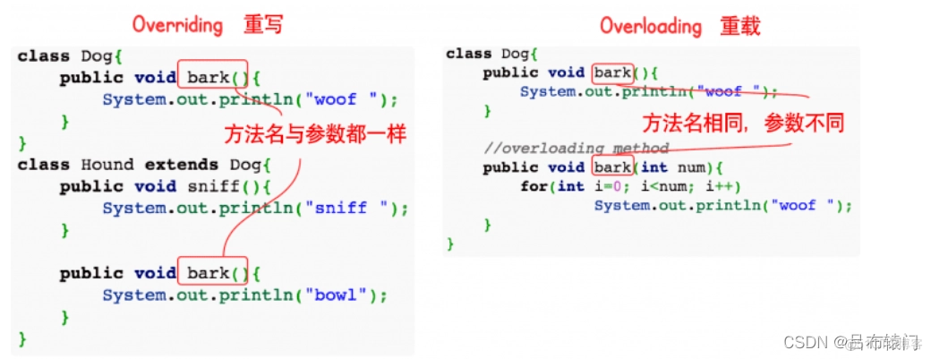 java 无法初始化 java初始化是什么意思_赋值_03