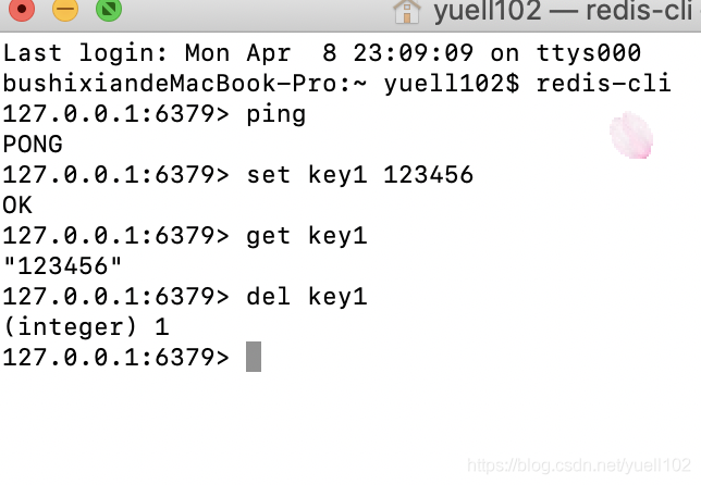 java优惠券功能实现 java优惠券过期_Redis