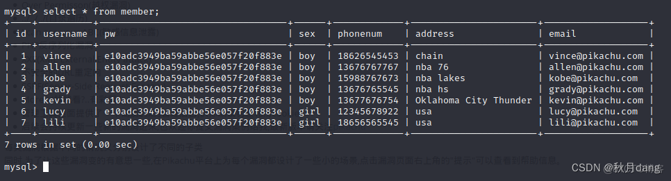 docker搭建dvwa靶场 docker 靶场_docker搭建dvwa靶场_09