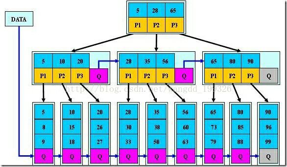 辨析B树（B-、B+、B*）_子树_04