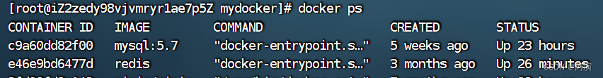 docker-compose 部署yapi docker-compose 部署多网站服务_java_06