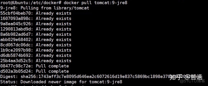 linux docker 删除镜像之后磁盘空间不释放 删除所有docker镜像_docker删除none镜像_06