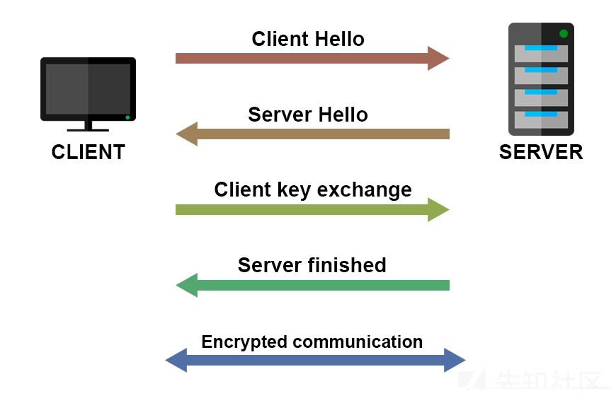 Android sip 抓包 安卓端抓包_SSL_15