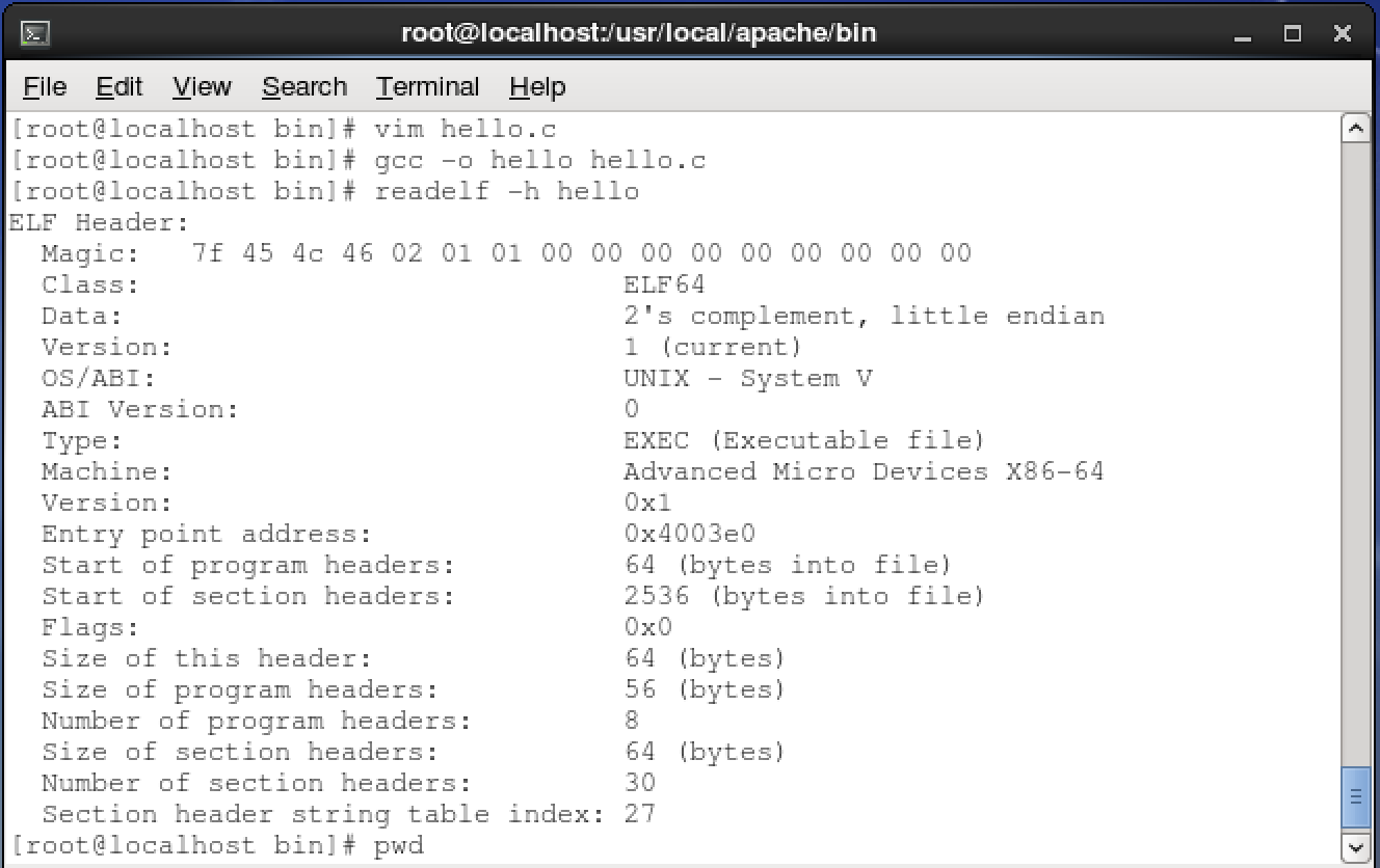 NodeJS研究笔记：利用Buffer类的二进制数据读取接口解析ELF文件格式_NodeJS