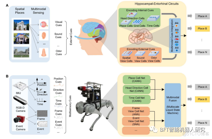 论文解读 | 超越人类智慧！类脑多模态混合神经网络助力机器人精准定位_神经网络模型_02