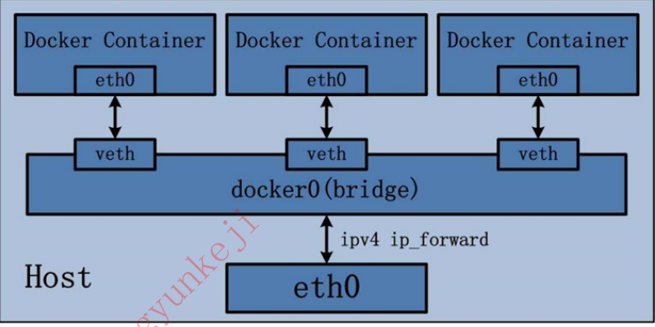 Jenkins 前端docker jenkins docker cicd_ubuntu_24