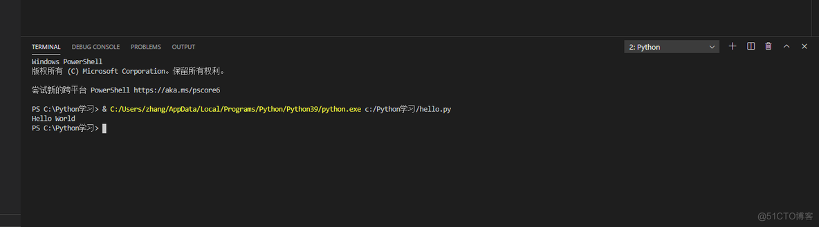 Python vscode 控制台 vscode python 运行_Python_14