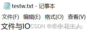 Python 中如何读 在 数据 python数据读入_读取文件_19