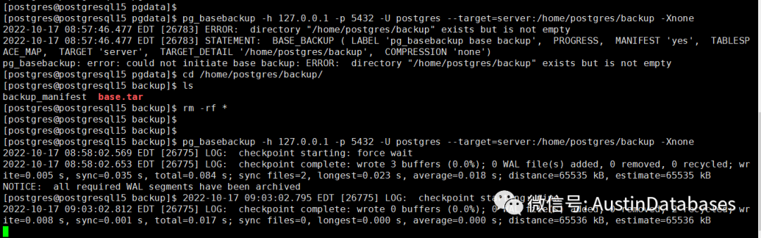 POSTGRESQL 15  pg_basebackup  新功能，LOCAL backup 与  数据强力压缩_java_03