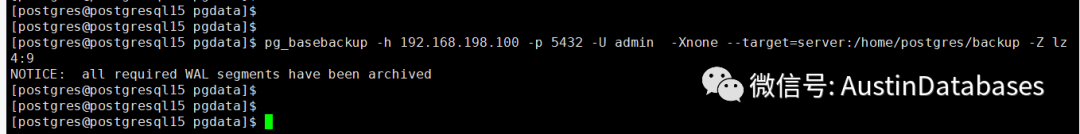 POSTGRESQL 15  pg_basebackup  新功能，LOCAL backup 与  数据强力压缩_数据库_06