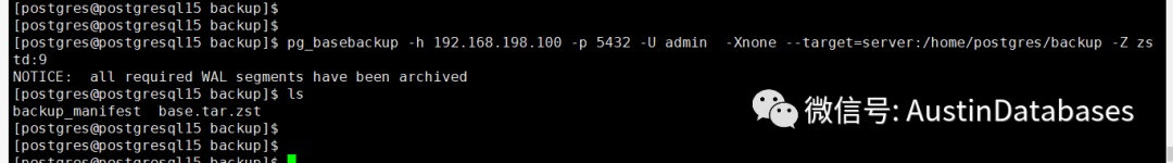 POSTGRESQL 15  pg_basebackup  新功能，LOCAL backup 与  数据强力压缩_数据库_07
