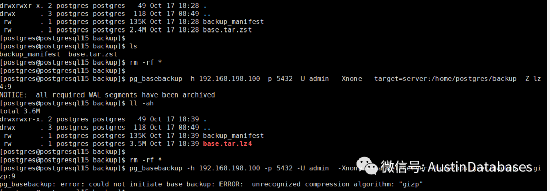 POSTGRESQL 15  pg_basebackup  新功能，LOCAL backup 与  数据强力压缩_数据库_08