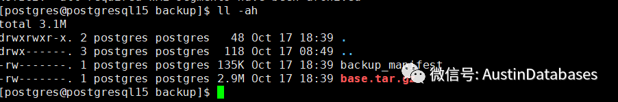 POSTGRESQL 15  pg_basebackup  新功能，LOCAL backup 与  数据强力压缩_linux_09